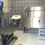 Why dog amenities are the new must‑have feature in multifamily buildings
